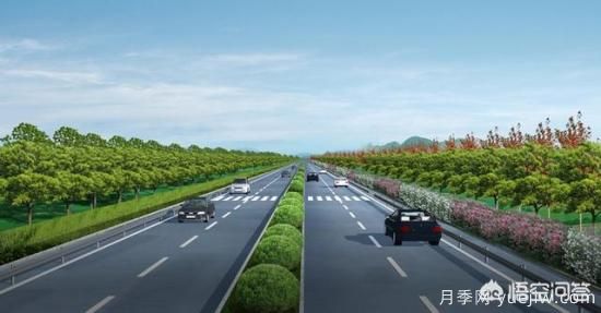 道路綠化苗木一般有哪些？(圖4)