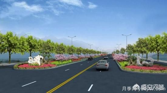 道路綠化苗木一般有哪些？(圖1)