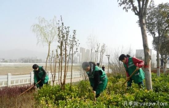 如何做園林的綠化養(yǎng)護(hù)工作？(圖6)