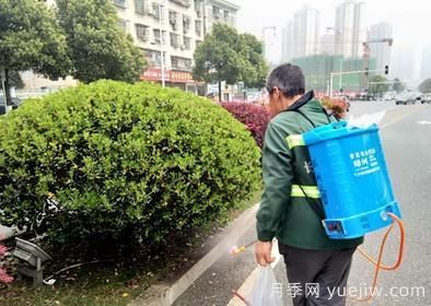 如何做園林的綠化養(yǎng)護(hù)工作？(圖7)