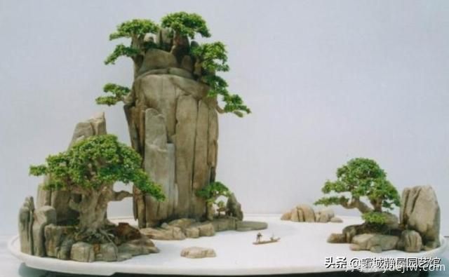 什么是山水盆景？山水盆景的形式有哪些？(圖2)