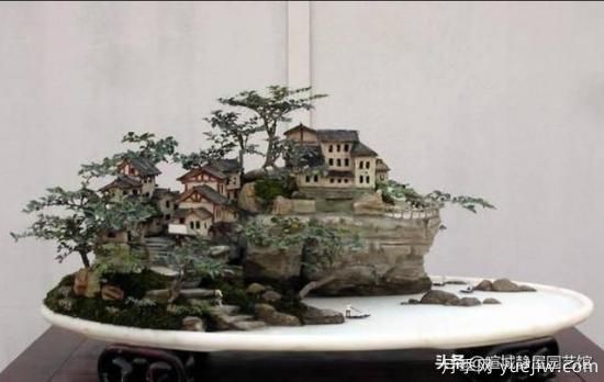 什么是山水盆景？山水盆景的形式有哪些？(圖1)