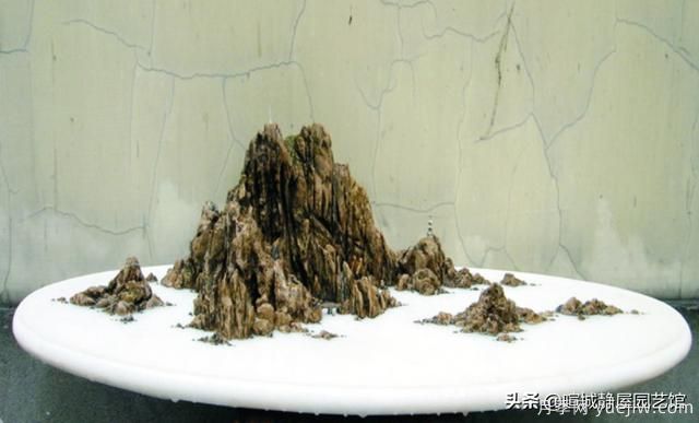 什么是山水盆景？山水盆景的形式有哪些？(圖3)