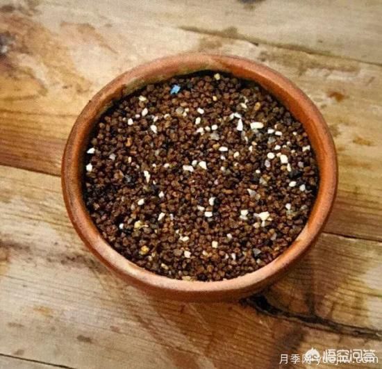 哪些樹種可以做街道綠化樹種？(圖14)