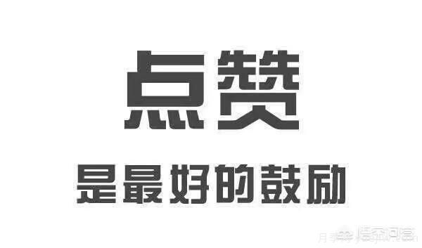彩葉樹種哪些適合南方種植？表現(xiàn)要好些的！(圖3)