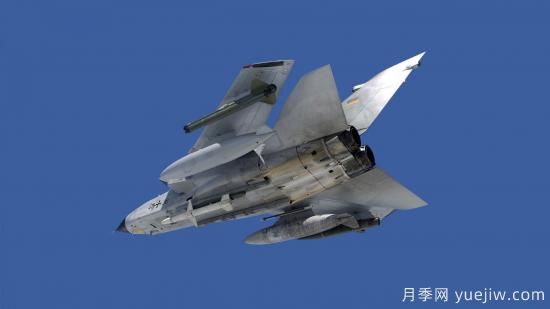 如何了解香檳玫瑰的種植？(圖2)