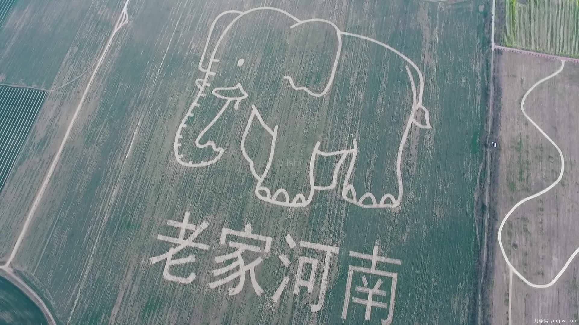 河南為什么被稱為“老家河南”？(圖1)