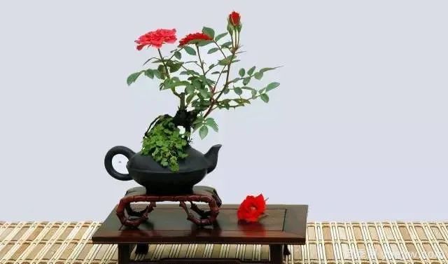 如何制作漂亮的月季盆景？藝術(shù)品來了(圖1)