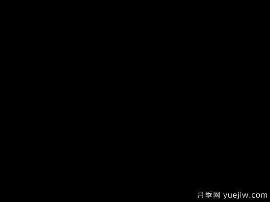 中國本土40個花卉品種介紹，我國是世界花園之母(圖30)