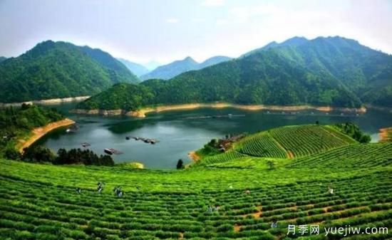河南人口**大縣是誰(shuí)？鄧州常住人口超124萬(wàn)人，還是固始縣(圖2)
