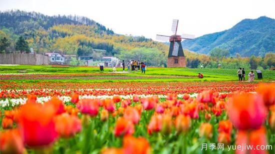 河南人口**大縣是誰(shuí)？鄧州常住人口超124萬(wàn)人，還是固始縣(圖1)