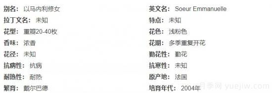 推薦高顏值且好養(yǎng)的10個(gè)藤本月季，看一眼就愛(ài)上(圖8)