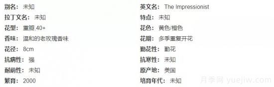 推薦高顏值且好養(yǎng)的10個(gè)藤本月季，看一眼就愛(ài)上(圖6)