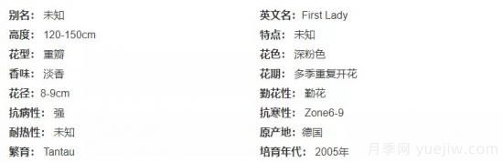 推薦高顏值且好養(yǎng)的10個(gè)藤本月季，看一眼就愛(ài)上(圖12)