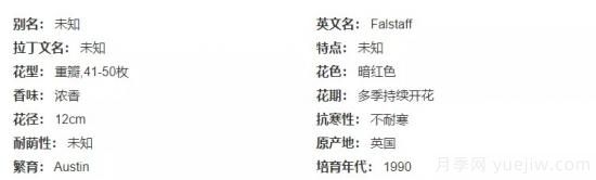 推薦高顏值且好養(yǎng)的10個(gè)藤本月季，看一眼就愛(ài)上(圖16)