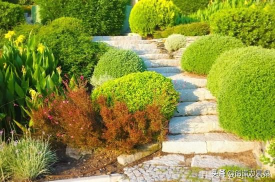 冬季植物應(yīng)該怎么打理，才能來年依舊繁花似錦(圖3)