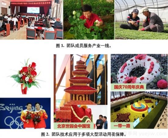 中國農(nóng)大鮮花品控團(tuán)隊助推花卉種質(zhì)創(chuàng)新與供應(yīng)鏈技術(shù)升級(圖1)