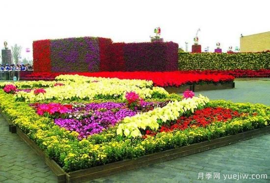 城市園林中美麗的花壇是如何設(shè)計(jì)制作的？(圖2)