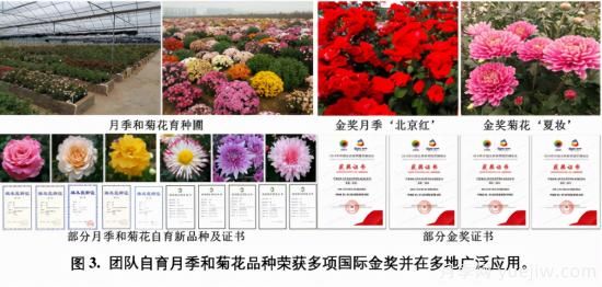 中國農(nóng)大鮮花品控團(tuán)隊助推花卉種質(zhì)創(chuàng)新與供應(yīng)鏈技術(shù)升級(圖2)