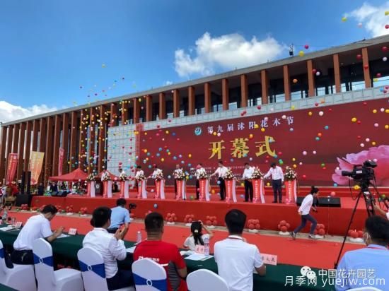 第九屆沭陽花木節(jié) 用顏色經(jīng)濟創(chuàng)造美麗生活(圖2)