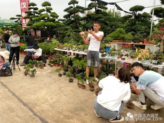 第九屆沭陽花木節(jié) 用顏色經(jīng)濟創(chuàng)造美麗生活(圖5)