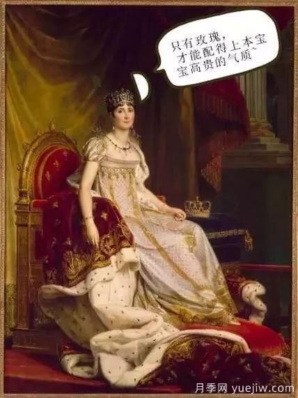 談?wù)勚袊?guó)月季的發(fā)展史，致敬中國(guó)的月季育種家前輩們！(圖5)