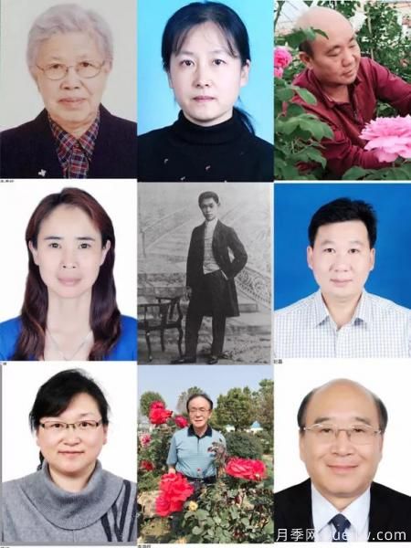 談?wù)勚袊?guó)月季的發(fā)展史，致敬中國(guó)的月季育種家前輩們！(圖12)