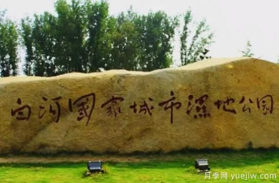 南陽(yáng)白河濕地公園，晨暮讀覽春夏秋冬(圖1)