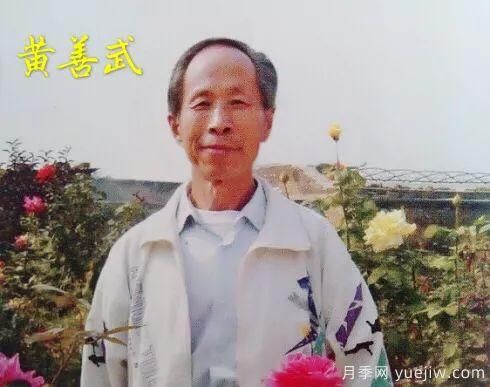 談?wù)勚袊?guó)月季的發(fā)展史，致敬中國(guó)的月季育種家前輩們！(圖16)