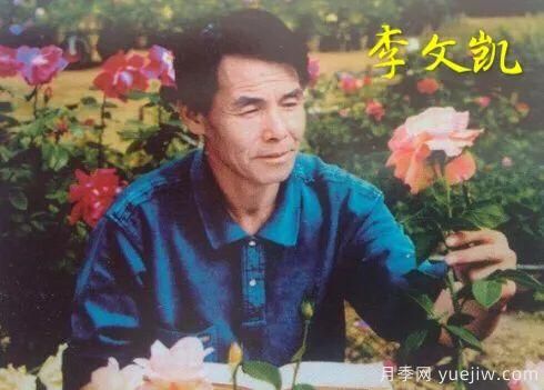 談?wù)勚袊?guó)月季的發(fā)展史，致敬中國(guó)的月季育種家前輩們！(圖18)