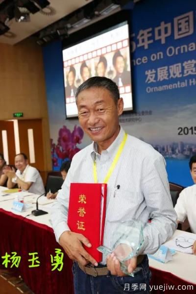 談?wù)勚袊?guó)月季的發(fā)展史，致敬中國(guó)的月季育種家前輩們！(圖19)