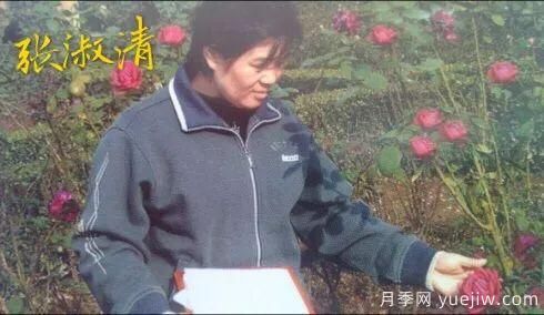 談?wù)勚袊?guó)月季的發(fā)展史，致敬中國(guó)的月季育種家前輩們！(圖23)