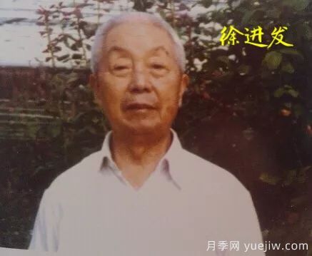 談?wù)勚袊?guó)月季的發(fā)展史，致敬中國(guó)的月季育種家前輩們！(圖28)