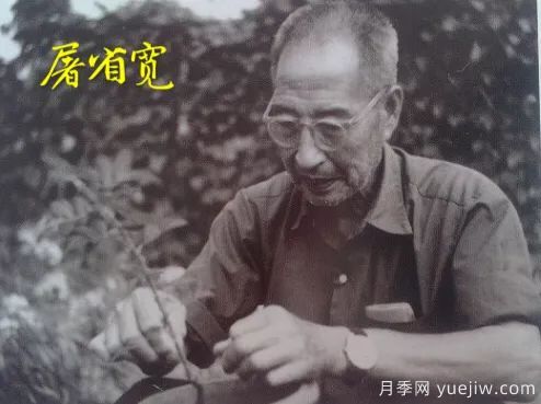 談?wù)勚袊?guó)月季的發(fā)展史，致敬中國(guó)的月季育種家前輩們！(圖29)