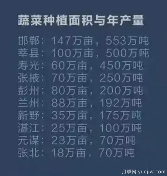 叫響南陽蔬菜品牌，新野蔬菜基地和社旗蔬菜基地打牢基礎(圖1)