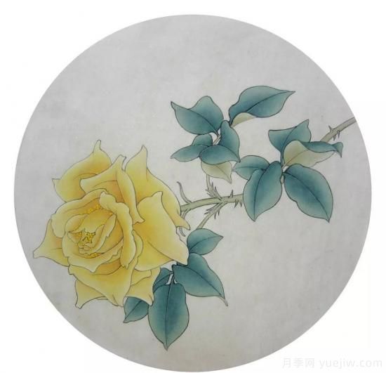 談?wù)勚袊?guó)月季的發(fā)展史，致敬中國(guó)的月季育種家前輩們！(圖67)