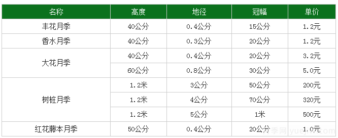 月季花多少錢(qián)一株？月季花的繁殖方法和養(yǎng)殖方法(圖1)