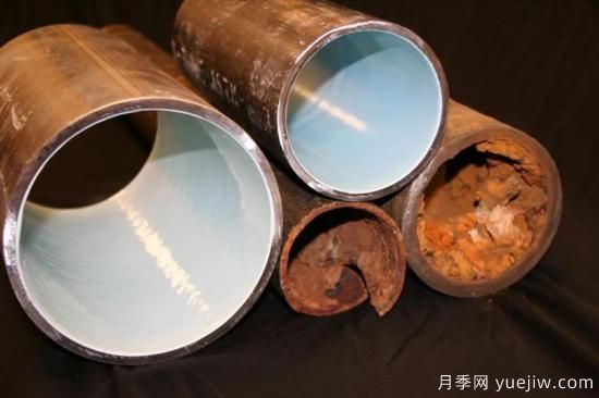 耐寒性，你家月季抗不抗凍？月季如何過(guò)冬(圖13)
