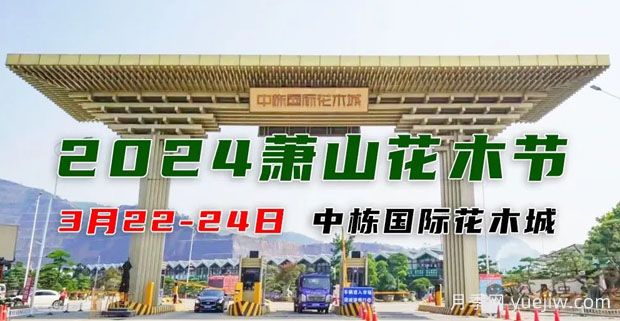 2024中國(蕭山)花木節(jié)暨第十七屆中國園林綠化產(chǎn)業(yè)交易會(huì)(圖1)